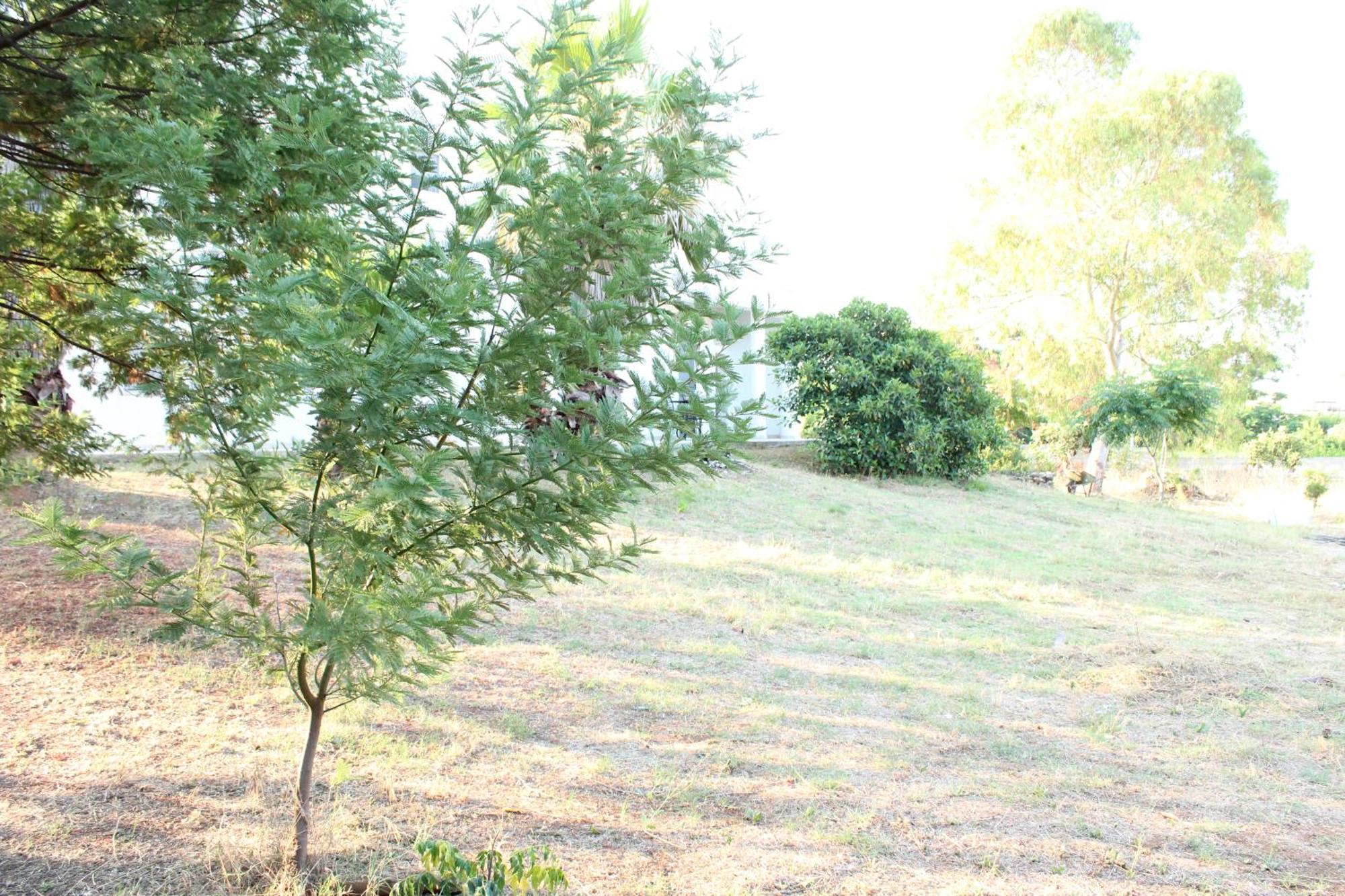 דירות מאטינו Boat Dreams , Garden Relax מראה חיצוני תמונה